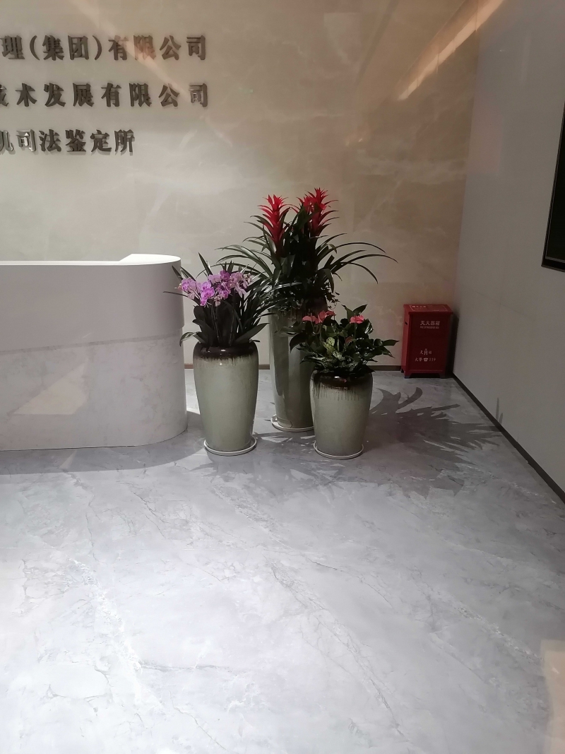 組合盆