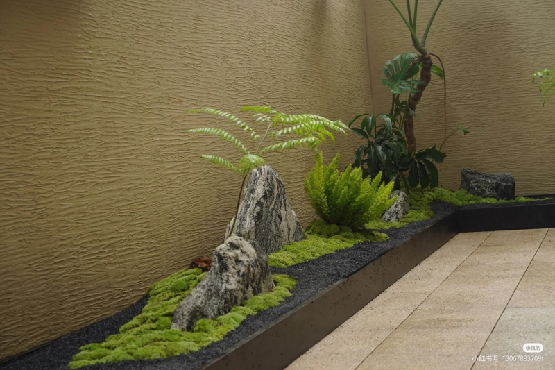 室內造景