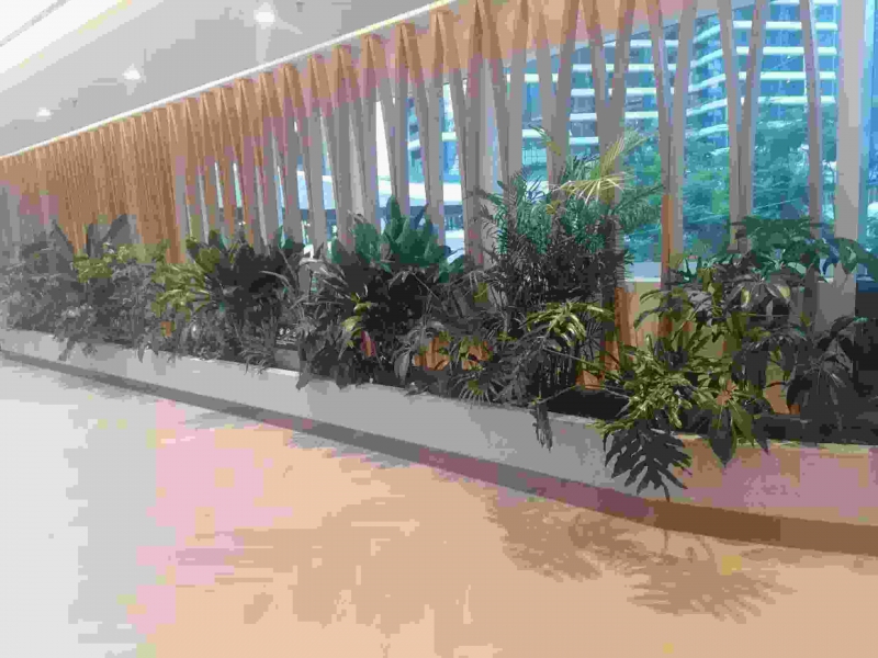 室內造景