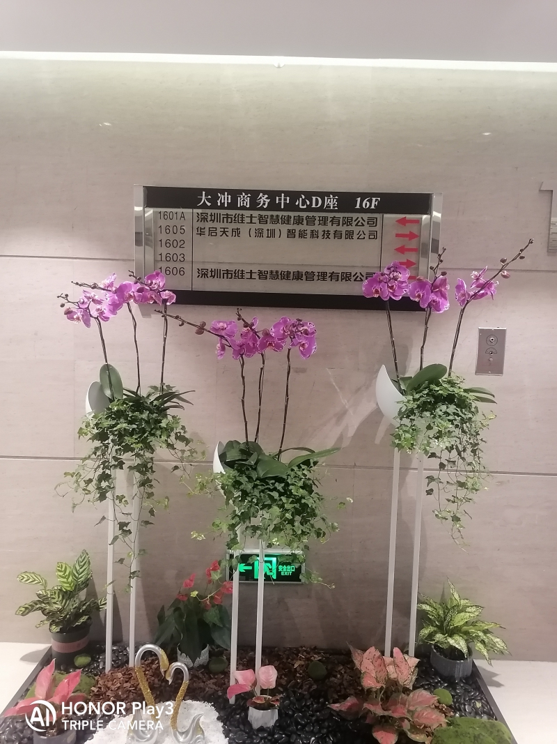 花架