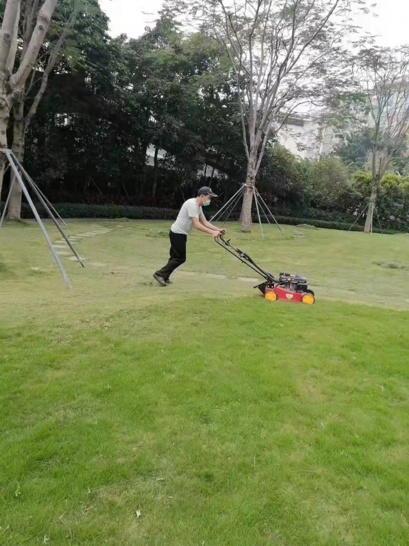 綠化養(yǎng)護